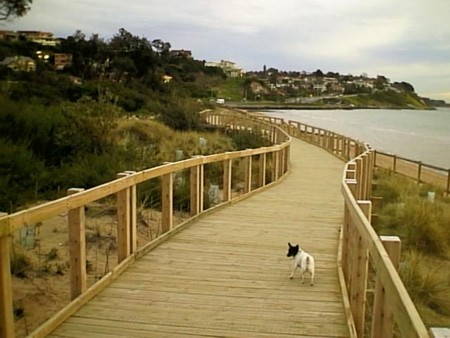 Completed Boardwalk Frankston Foreshore